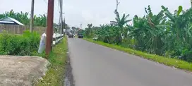 Dijual Murah 2,4 jt permtr lahan Dekat Tol Pakis dan Bandara Abd Saleh