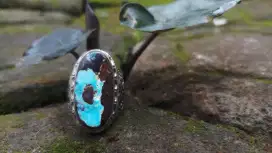 Pirus Persia Motif
