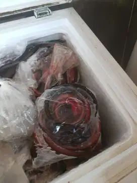 Belut frozen 500gr