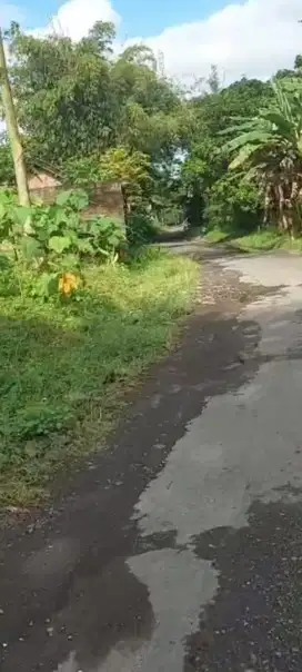 Kebun Dekat Pemukiman Dan Perumahan
