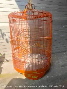 Kandang murai no 1