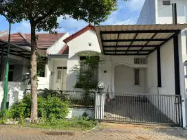For rent / sale