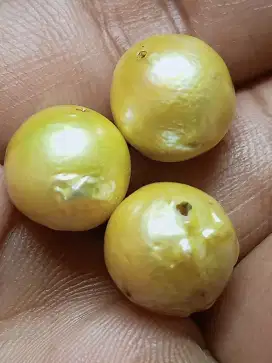 Mutiara kuning lawasan