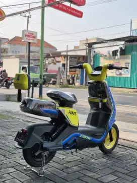 Exotic Luxor malang