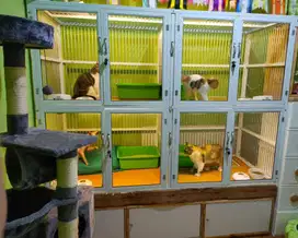 Kandang Aluminium 4 kamar besar