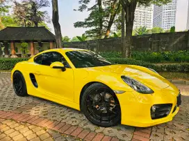 PORSCHE CAYMAN 2015 CASH