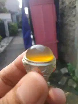 Anggur raflesia nukleus ajib ring 9