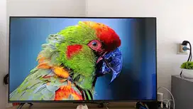 TCL QLED 43Q6 4KUHD DOLBY VISION