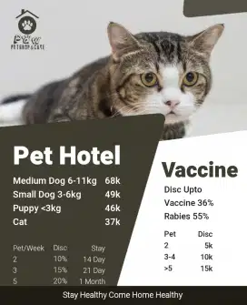 Vaksin kucing murah