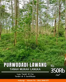 TOP MURAH LANGKA Purwodadi, Lawang