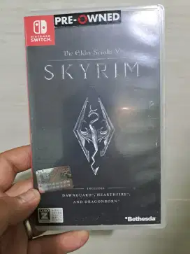 The elder scroll v skyrim switch