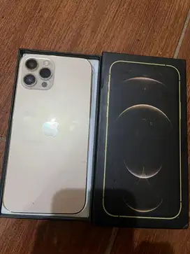 Iphone 12 Pro Max 256Gb Inter