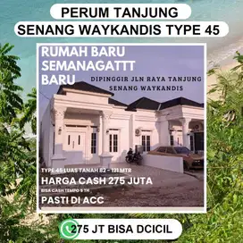 LUSTER WAYKANDIS 295 JUTAAN TYPE 45 DIPINGGIR JALAN UTAMA AMD TANJUNG