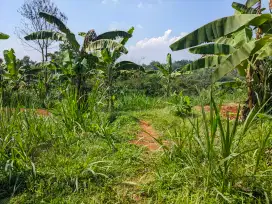 Jual Tanah Area Potensial di Sukamakmur, Luas Tanah 6082m²