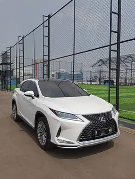 Lexus RX300 2021