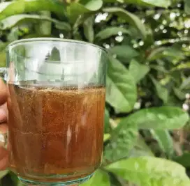Madu Murni 100%