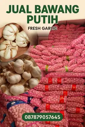 Bawang putih Fresh garlic honan