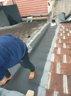 Tukang perbaikan atap bocor,dag,talang,kanopi,renopasi dll