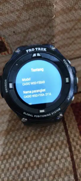 Casio Protrek WSD-F20 smart minus