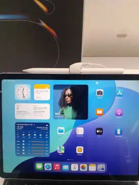 iPad Pro (11 inci)