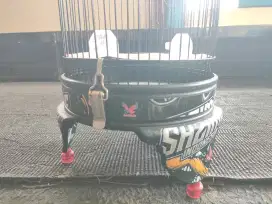 Sangkar Heloped shazime