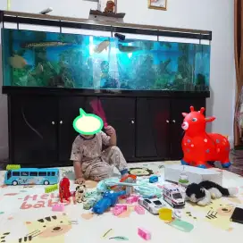Aquarium jumbo kaca oval set lemari P 2meter Tinggi kaca 60cm