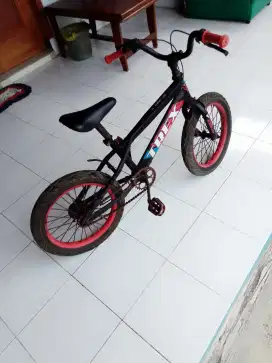 Sepeda anak anak merk trex