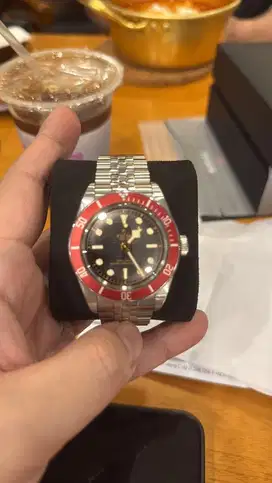 Tudor bb jubile 2024
