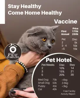 vaksin kucing kenjeran