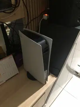 PS 5 fat digital