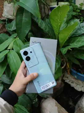 Vivo V29 5G 8+8/256