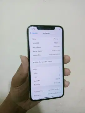 Hp iPhone Xs 256 inter all operator