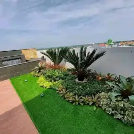Tukang taman murah