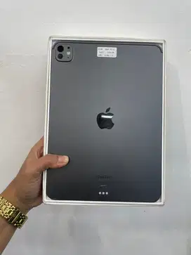Ipad pro m4 256GB ibox