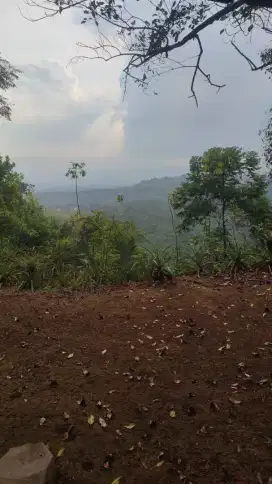 Kebun invest 32.000 m2 Hanya 45rb/ m2