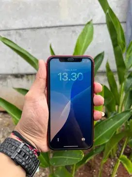 Iphone 11 256GB jual murah