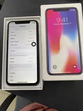 iPhone X 256 Gb
