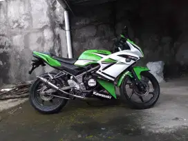 Ninja rr new 2013