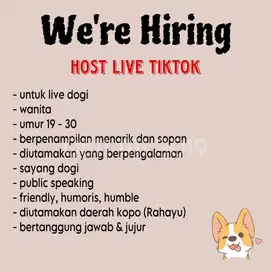 Dicari Host Live Streaming Jual Anjing Ras