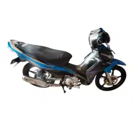 Jupiter z 2010 robot mulus