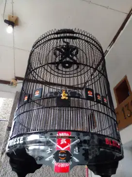 Sangkar murai no 3 gress raffi jaya
