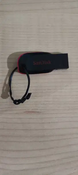 Flashdisk Sandisk 128 GB
