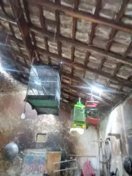 Berbagai sangkar seken bagus