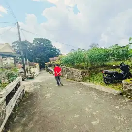 Tanah Potensial sekipan tawangmangu karanganyar