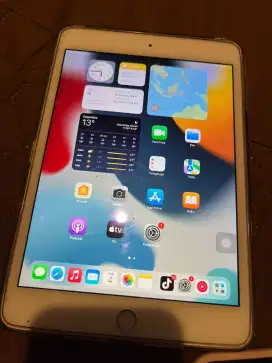 Ipad mini 4 ibox wifi only