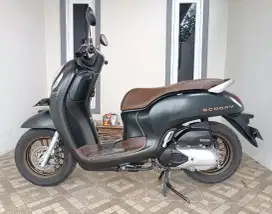 Scoopy Prestige 2024