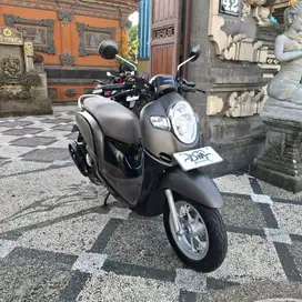 Scoopy Stylish th 2017