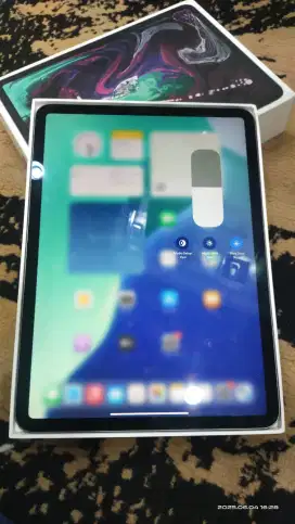 Ipad Pro 2018 256GB lengkap