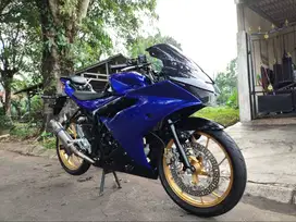 Suzuki gsx 2017