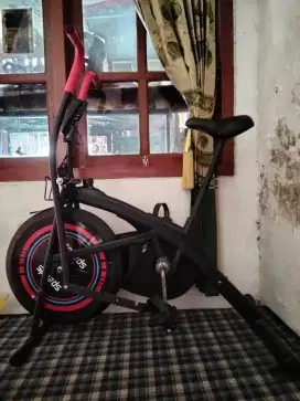Sepeda statis alat fitness platinum bike